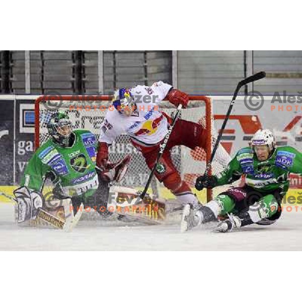 Ales Sila, Martin Ulmer, Egon Muric in action during ice-hockey match Tilia Olimpija-Red Bull Salzburg in Ebel league, played in Hala Tivoli, Ljubljana, Slovenia 1.10.2009 