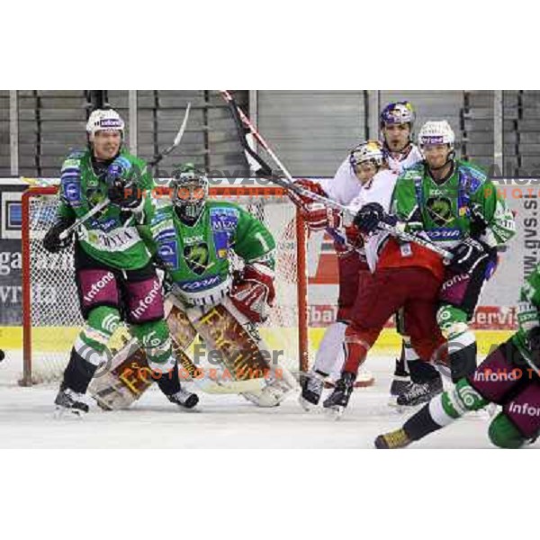 Higgins, Sila, Pratt in action during ice-hockey match Tilia Olimpija-Red Bull Salzburg in Ebel league, played in Hala Tivoli, Ljubljana, Slovenia 1.10.2009 