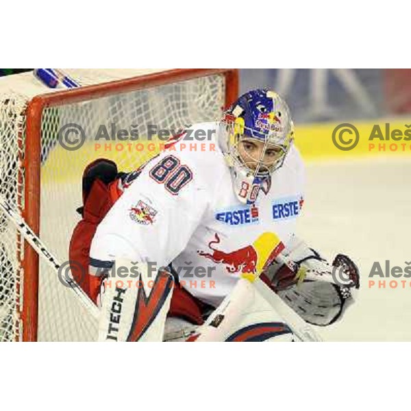 David Leveneu in action during ice-hockey match Tilia Olimpija-Red Bull Salzburg in Ebel league, played in Hala Tivoli, Ljubljana, Slovenia 1.10.2009 