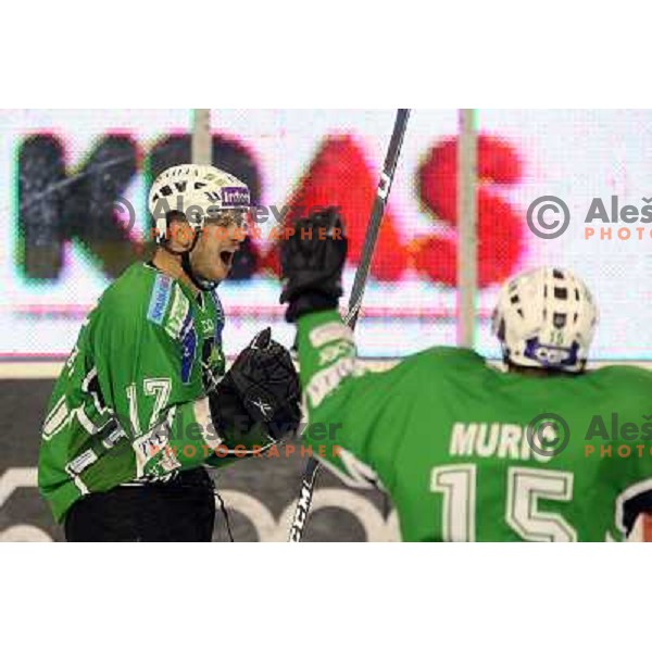 Jurij Golicic in action during ice-hockey match Tilia Olimpija-Red Bull Salzburg in Ebel league, played in Hala Tivoli, Ljubljana, Slovenia 1.10.2009 