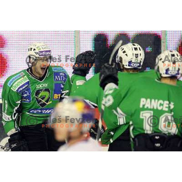 Jurij Golicic in action during ice-hockey match Tilia Olimpija-Red Bull Salzburg in Ebel league, played in Hala Tivoli, Ljubljana, Slovenia 1.10.2009 