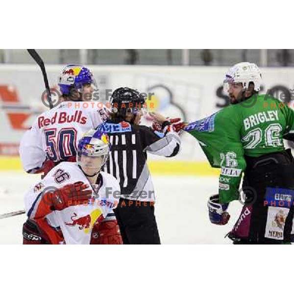 Ulmer (96), Fischer (50), Brigley in action during ice-hockey match Tilia Olimpija-Red Bull Salzburg in Ebel league, played in Hala Tivoli, Ljubljana, Slovenia 1.10.2009 