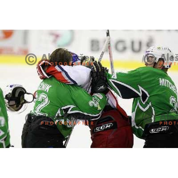 Michael Gergen (17) and Greg Kuznik (22), Kevin Mitchell in fight action during ice-hockey match Tilia Olimpija-Red Bull Salzburg in Ebel league, played in Hala Tivoli, Ljubljana, Slovenia 1.10.2009 