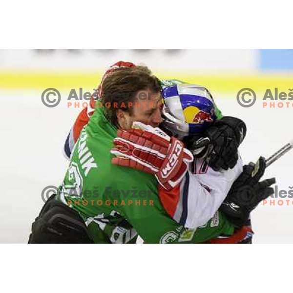 Michael Gergen (17) and Greg Kuznik (22) in fight action during ice-hockey match Tilia Olimpija-Red Bull Salzburg in Ebel league, played in Hala Tivoli, Ljubljana, Slovenia 1.10.2009 