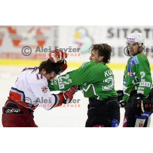 Michael Gergen (17) and Greg Kuznik (22) in fight action during ice-hockey match Tilia Olimpija-Red Bull Salzburg in Ebel league, played in Hala Tivoli, Ljubljana, Slovenia 1.10.2009 