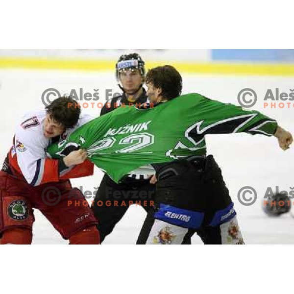 Michael Gergen (17) and Greg Kuznik (22) in fight action during ice-hockey match Tilia Olimpija-Red Bull Salzburg in Ebel league, played in Hala Tivoli, Ljubljana, Slovenia 1.10.2009 