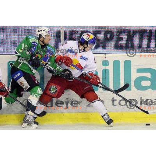 Egon Muric in action during ice-hockey match Tilia Olimpija-Red Bull Salzburg in Ebel league, played in Hala Tivoli, Ljubljana, Slovenia 1.10.2009 