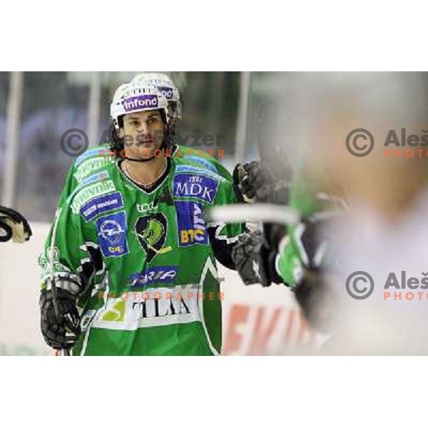 Frank Banham in action during ice-hockey match Tilia Olimpija-Red Bull Salzburg in Ebel league, played in Hala Tivoli, Ljubljana, Slovenia 1.10.2009 