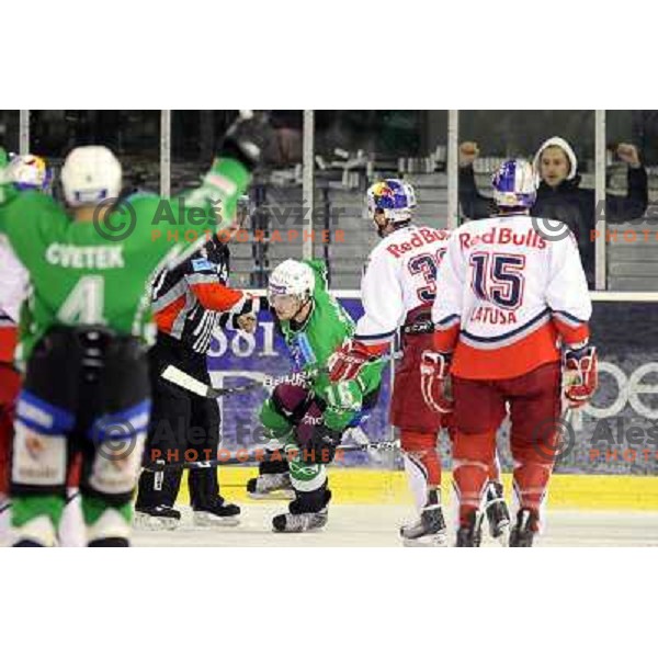 AlesMusic scores goal during ice-hockey match Tilia Olimpija-Red Bull Salzburg in Ebel league, played in Hala Tivoli, Ljubljana, Slovenia 1.10.2009 