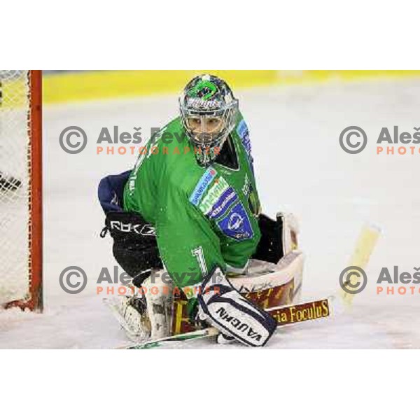 Ales Sila in action during ice-hockey match Tilia Olimpija-Red Bull Salzburg in Ebel league, played in Hala Tivoli, Ljubljana, Slovenia 1.10.2009 