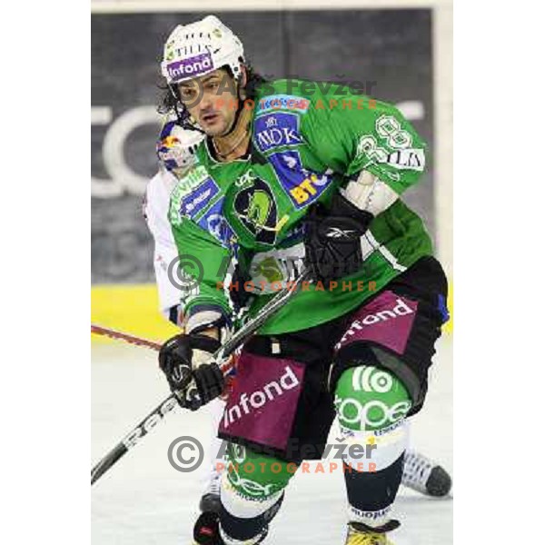 Frank Banham in action during ice-hockey match Tilia Olimpija-Red Bull Salzburg in Ebel league, played in Hala Tivoli, Ljubljana, Slovenia 1.10.2009 