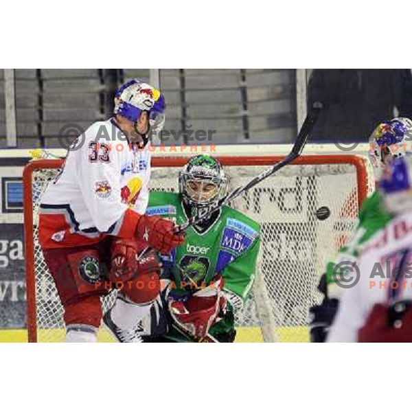 Marco Pewal scores goal past goalie Ales Sila during ice-hockey match Tilia Olimpija-Red Bull Salzburg in Ebel league, played in Hala Tivoli, Ljubljana, Slovenia 1.10.2009 