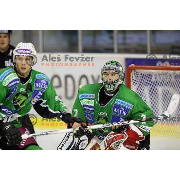 Ales Sila in action during ice-hockey match Tilia Olimpija-Red Bull Salzburg in Ebel league, played in Hala Tivoli, Ljubljana, Slovenia 1.10.2009 