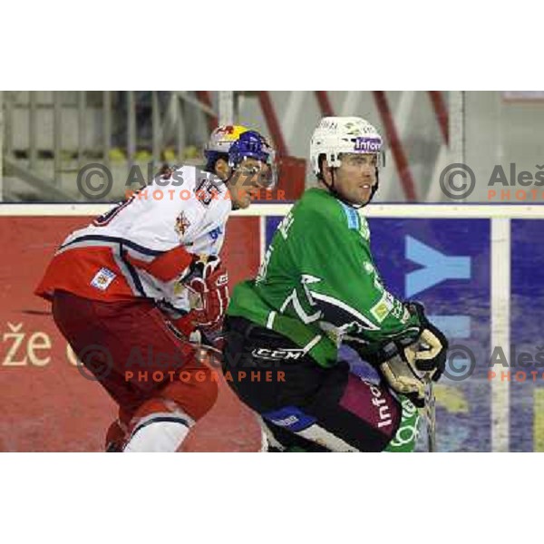 Manuel Latusa (15) and Kevin Mitchell in action during ice-hockey match Tilia Olimpija-Red Bull Salzburg in Ebel league, played in Hala Tivoli, Ljubljana, Slovenia 1.10.2009 