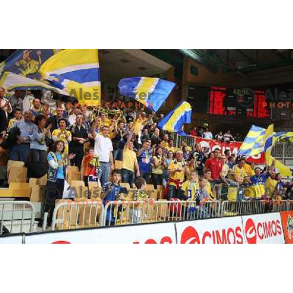 RK Cimos Koper fans in action during handball match Cimos Koper- Gorenje in MIK 1.liga, played in Bonifika Hall, koper, Slovenia 15.11.2009 