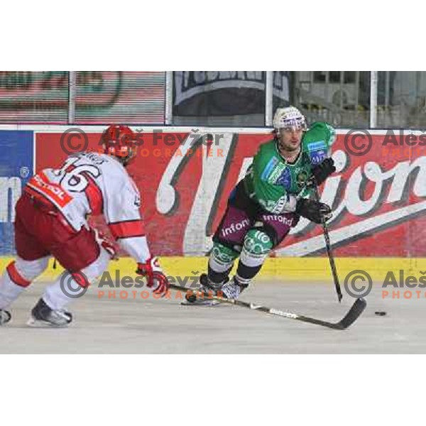 Frank Banham and Miha Brus in action during ice-hockey match Tilia Olimpija- Acroni Jesenice in Ebel league, played in Hala Tivoli, Ljubljana, Slovenia 27.11.2009 