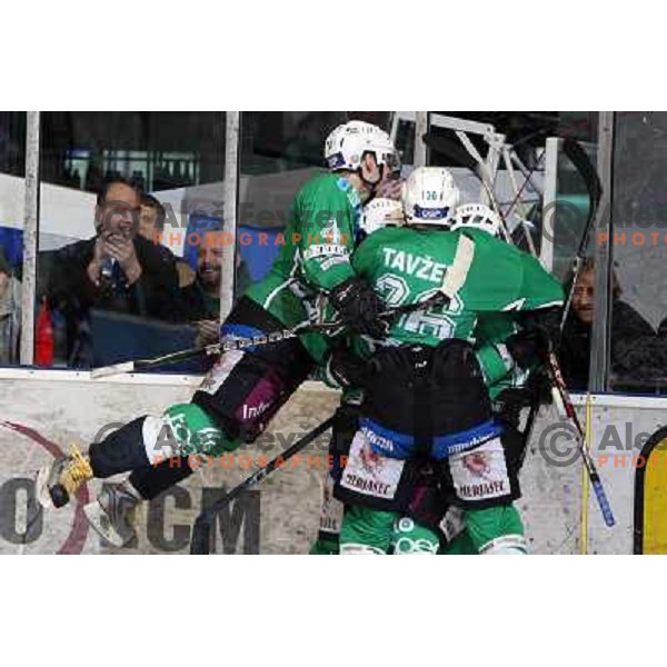 Tavzelj, Cvetek in action during ice-hockey match Tilia Olimpija- Acroni Jesenice in Ebel league, played in Hala Tivoli, Ljubljana, Slovenia 27.11.2009 