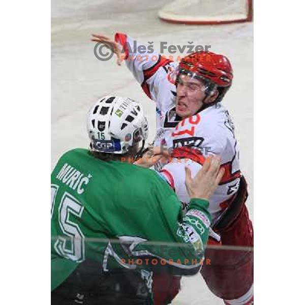 Egon Muric and Robert Sablic in fist fight during ice-hockey match Tilia Olimpija- Acroni Jesenice in Ebel league, played in Hala Tivoli, Ljubljana, Slovenia 27.11.2009 