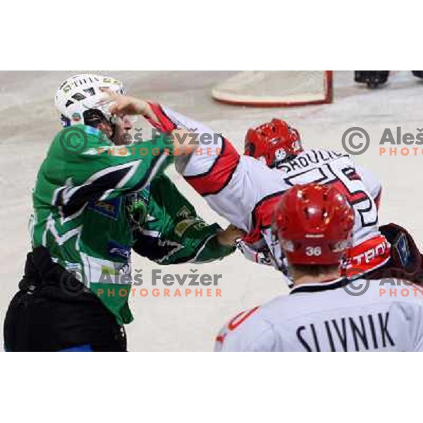 Egon Muric and Robert Sabolic in fist fight during ice-hockey match Tilia Olimpija- Acroni Jesenice in Ebel league, played in Hala Tivoli, Ljubljana, Slovenia 27.11.2009 