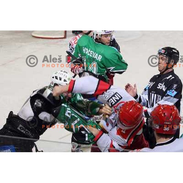 Egon Muric and Robert Sablic in fist fight during ice-hockey match Tilia Olimpija- Acroni Jesenice in Ebel league, played in Hala Tivoli, Ljubljana, Slovenia 27.11.2009 