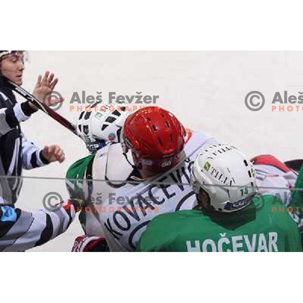 Matej Hocevar, Kovacevic during ice-hockey match Tilia Olimpija- Acroni Jesenice in Ebel league, played in Hala Tivoli, Ljubljana, Slovenia 27.11.2009 