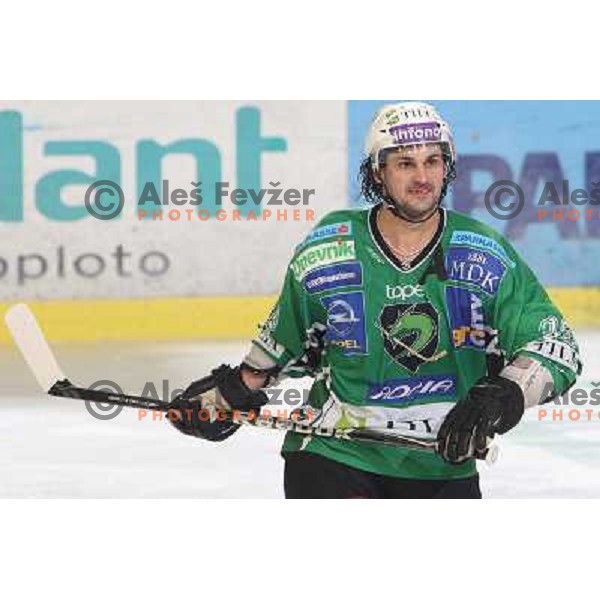 Frank Banham celebrates goal during ice-hockey match Tilia Olimpija- Acroni Jesenice in Ebel league, played in Hala Tivoli, Ljubljana, Slovenia 27.11.2009 