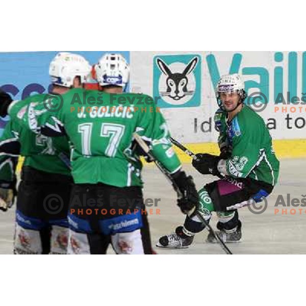 Frank Banham celebrates goal during ice-hockey match Tilia Olimpija- Acroni Jesenice in Ebel league, played in Hala Tivoli, Ljubljana, Slovenia 27.11.2009 