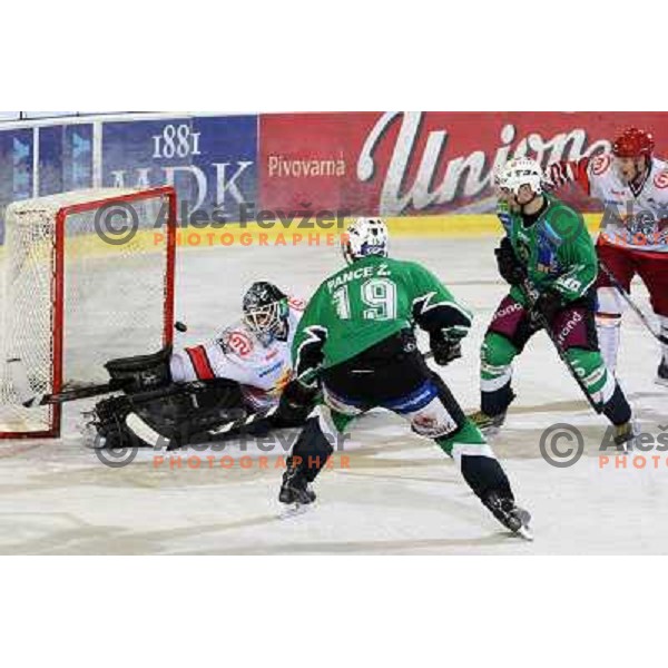 Ziga Pance scores goal past Dov Grumet- Morris during ice-hockey match Tilia Olimpija- Acroni Jesenice in Ebel league, played in Hala Tivoli, Ljubljana, Slovenia 27.11.2009 