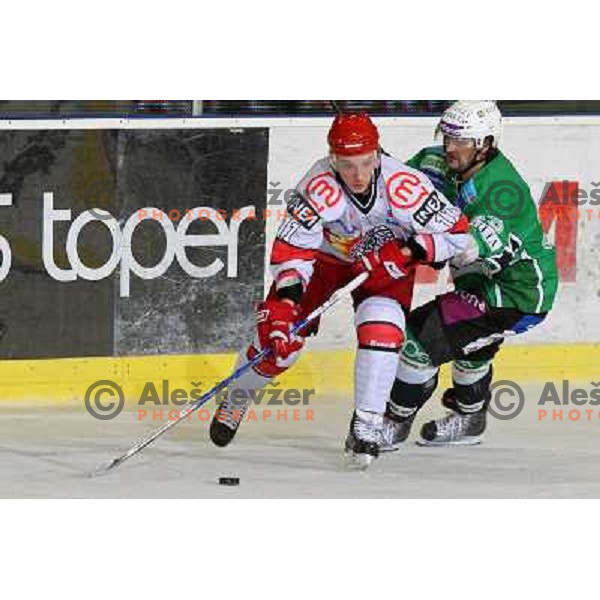 Andrei Makrov and Frank Banham in action during ice-hockey match Tilia Olimpija- Acroni Jesenice in Ebel league, played in Hala Tivoli, Ljubljana, Slovenia 27.11.2009. 