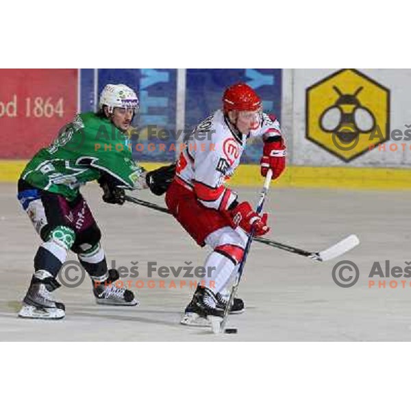 Andrei Makrov and Frank Banham in action during ice-hockey match Tilia Olimpija- Acroni Jesenice in Ebel league, played in Hala Tivoli, Ljubljana, Slovenia 27.11.2009. 