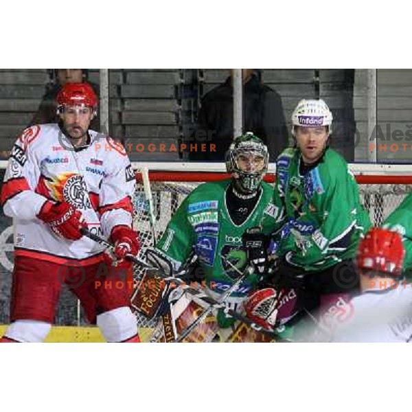 Ales Sila , Tomaz Razingar, Kevin Mitchell in action during ice-hockey match Tilia Olimpija- Acroni Jesenice in Ebel league, played in Hala Tivoli, Ljubljana, Slovenia 27.11.2009. 