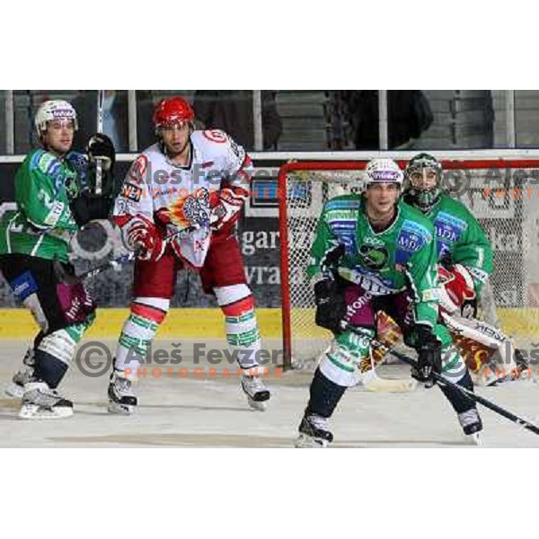 Kevin Mitchell, Robert Robins,Ales Sila, JUrij Golicic in action during ice-hockey match Tilia Olimpija- Acroni Jesenice in Ebel league, played in Hala Tivoli, Ljubljana, Slovenia 27.11.2009 