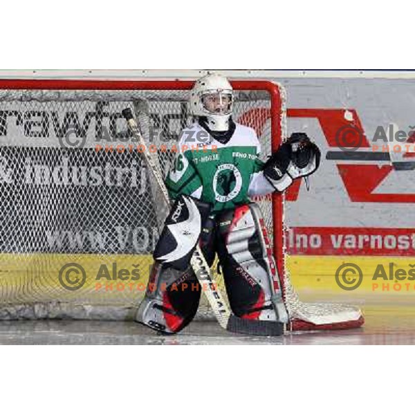 Tilia Olimpija kids in action during ice-hockey match Tilia Olimpija- Acroni Jesenice in Ebel league, played in Hala Tivoli, Ljubljana, Slovenia 27.11.2009. 