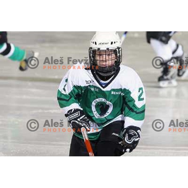 Tilia Olimpija kids in action during ice-hockey match Tilia Olimpija- Acroni Jesenice in Ebel league, played in Hala Tivoli, Ljubljana, Slovenia 27.11.2009. 