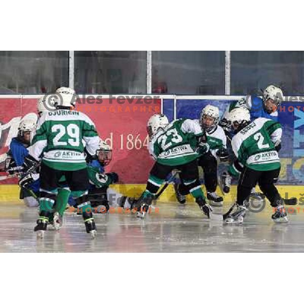 Tilia Olimpija kids in action during ice-hockey match Tilia Olimpija- Acroni Jesenice in Ebel league, played in Hala Tivoli, Ljubljana, Slovenia 27.11.2009. 