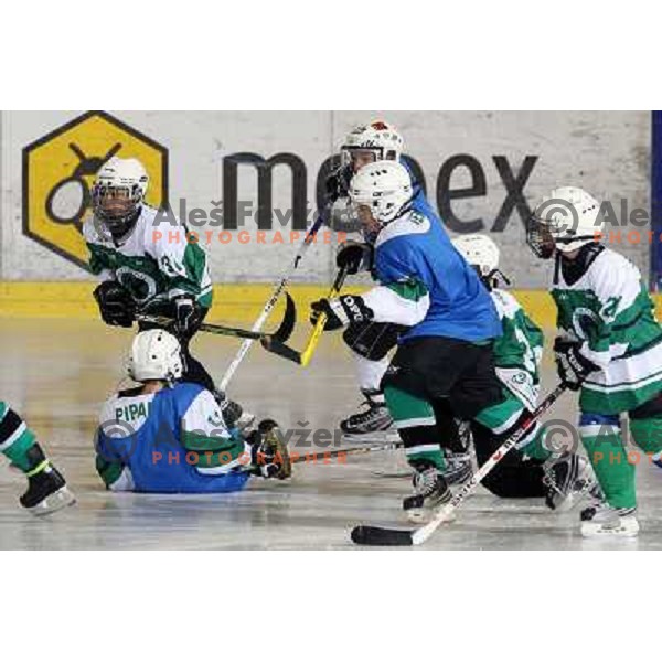 Tilia Olimpija kids in action during ice-hockey match Tilia Olimpija- Acroni Jesenice in Ebel league, played in Hala Tivoli, Ljubljana, Slovenia 27.11.2009. 