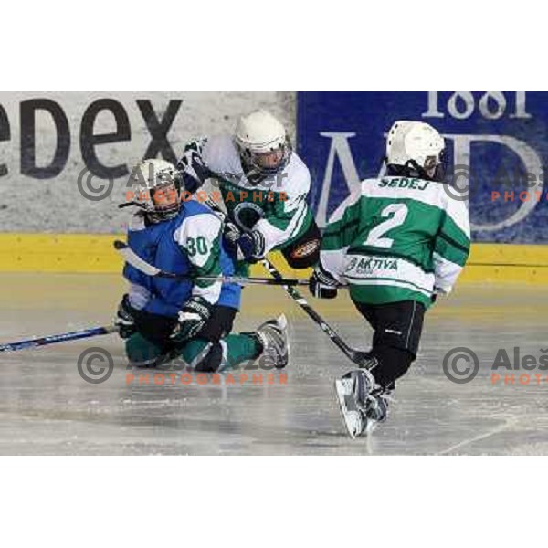 Tilia Olimpija kids in action during ice-hockey match Tilia Olimpija- Acroni Jesenice in Ebel league, played in Hala Tivoli, Ljubljana, Slovenia 27.11.2009. 