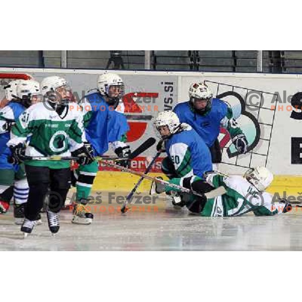 Tilia Olimpija kids in action during ice-hockey match Tilia Olimpija- Acroni Jesenice in Ebel league, played in Hala Tivoli, Ljubljana, Slovenia 27.11.2009. 