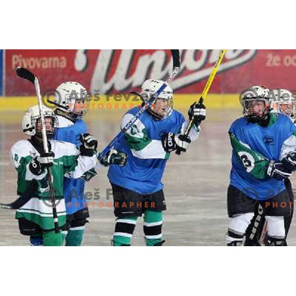 Tilia Olimpija kids in action during ice-hockey match Tilia Olimpija- Acroni Jesenice in Ebel league, played in Hala Tivoli, Ljubljana, Slovenia 27.11.2009. 