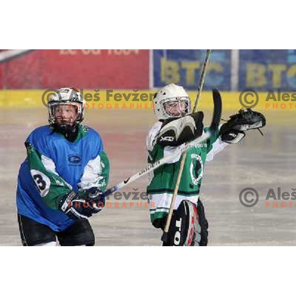 Tilia Olimpija kids in action during ice-hockey match Tilia Olimpija- Acroni Jesenice in Ebel league, played in Hala Tivoli, Ljubljana, Slovenia 27.11.2009. 