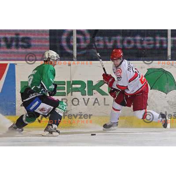 Burke Henry, Marjan Manfreda in action during ice-hockey match Tilia Olimpija- Acroni Jesenice in Ebel league, played in Hala Tivoli, Ljubljana, Slovenia 27.11.2009. 