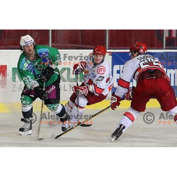 Frank Banham in action during ice-hockey match Tilia Olimpija- Acroni Jesenice in Ebel league, played in Hala Tivoli, Ljubljana, Slovenia 27.11.2009 