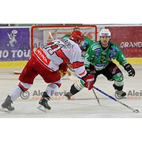 Andrei Makrov and Kevi Mitchell in action during ice-hockey match Tilia Olimpija- Acroni Jesenice in Ebel league, played in Hala Tivoli, Ljubljana, Slovenia 27.11.2009. 