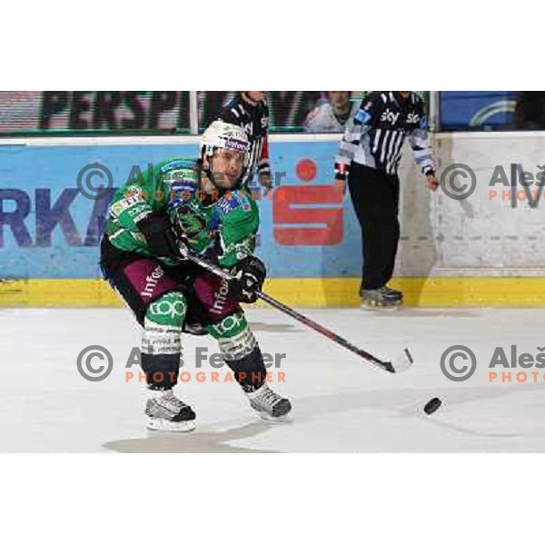 Kevin Mitchell in action during ice-hockey match Tilia Olimpija- Acroni Jesenice in Ebel league, played in Hala Tivoli, Ljubljana, Slovenia 27.11.2009. 