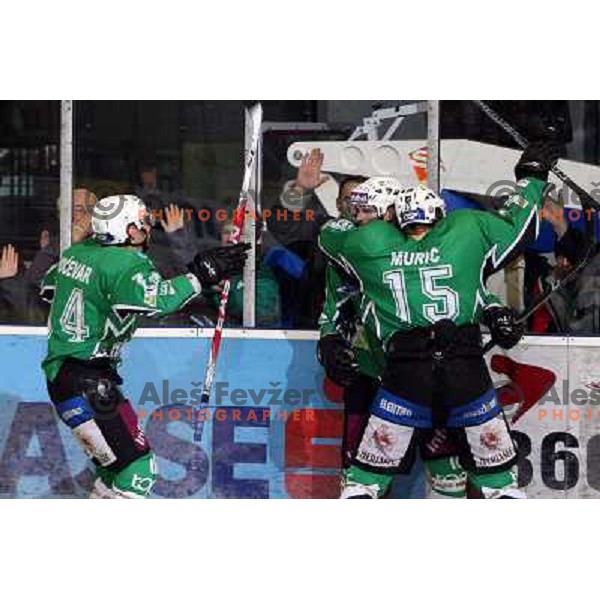 Matej Hocevar, Jurij Golicic,Egon Muric celebrate goal during ice-hockey match Tilia Olimpija- Acroni Jesenice in Ebel league, played in Hala Tivoli, Ljubljana, Slovenia 27.11.2009. 