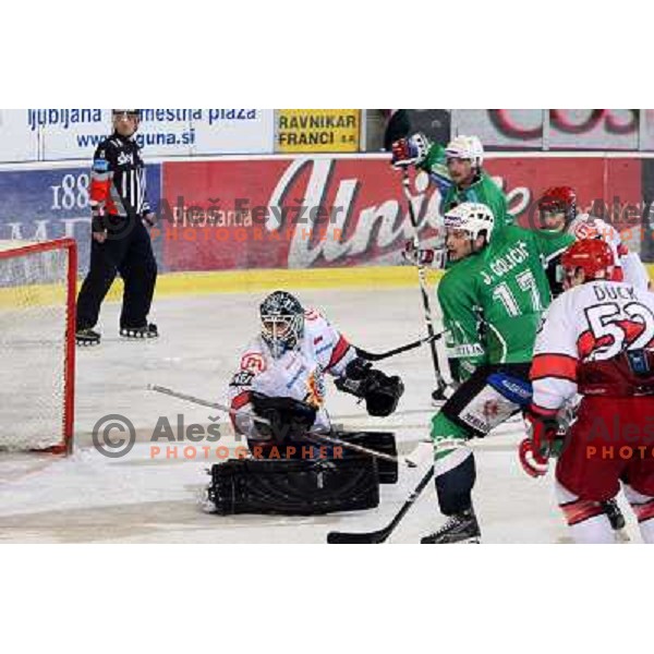 Dov Grumet-Morris ,Jurij Golicic in action during ice-hockey match Tilia Olimpija- Acroni Jesenice in Ebel league, played in Hala Tivoli, Ljubljana, Slovenia 27.11.2009. 