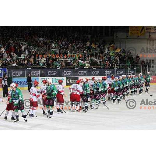  ice-hockey match Tilia Olimpija- Acroni Jesenice in Ebel league, played in Hala Tivoli, Ljubljana, Slovenia 27.11.2009. 