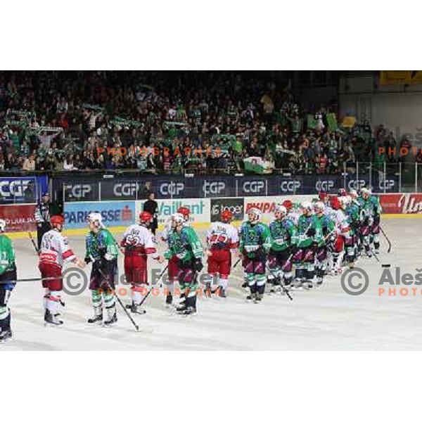  ice-hockey match Tilia Olimpija- Acroni Jesenice in Ebel league, played in Hala Tivoli, Ljubljana, Slovenia 27.11.2009. 