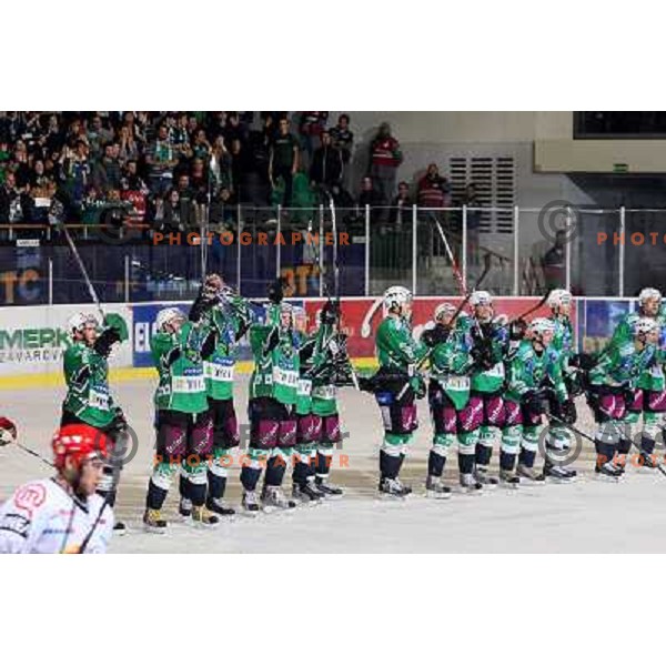 Matej Hocevar, Jurij Golicic,Ales Sila celebrate victory after ice-hockey match Tilia Olimpija- Acroni Jesenice in Ebel league, played in Hala Tivoli, Ljubljana, Slovenia 27.11.2009. 