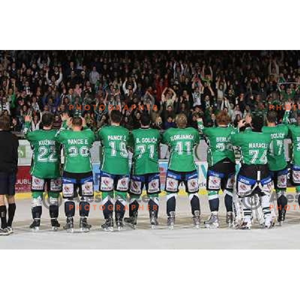 Greg Kuznik,,Erik Pance,Ziga Pance, Bostjan Golicic, Florjancic,Berlisk, Maracle, Jurij Golicic celebrate vicotry after ice-hockey match Tilia Olimpija- Acroni Jesenice in Ebel league, played in Hala Tivoli, Ljubljana, Slovenia 27.11.2009. 